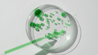 Long chemical dropper drains green oil in Petri dish with water