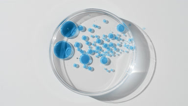 Petri dish with blue oil bubbles in water appears from shadow