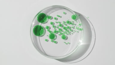 Petri dish with green oil bubbles in water appears from shadow