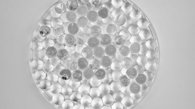 Top view of Petri dish with grey tiny balls on grey background