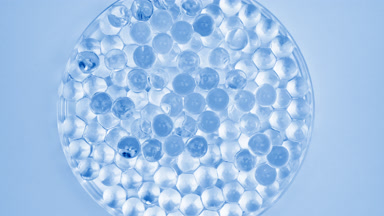 Top view of Petri dish with blue tiny balls on blue background