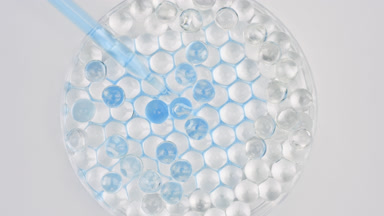 Blue liquid drained from dropper in Petri dish with grey balls