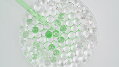 Green liquid drained from dropper in Petri dish with grey balls