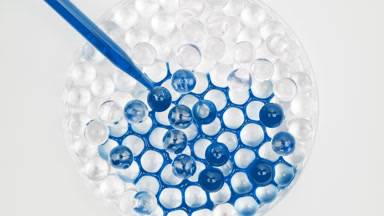 Blue liquid drained in Petri dish with grey balls becoming blue