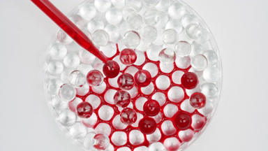 Red liquid drained in Petri dish with grey balls becoming red