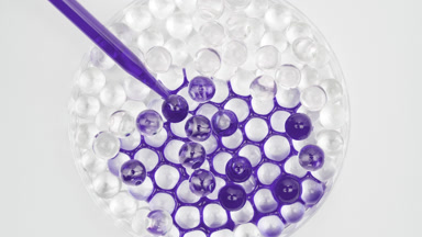 Purple liquid drained in Petri dish with balls becoming purple