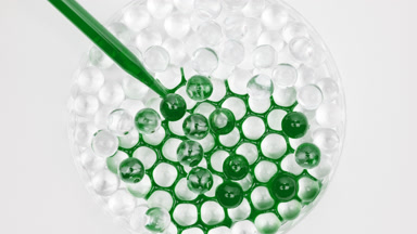 Green fluid drained in Petri dish with grey balls becoming green
