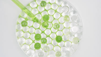 Green oil drained in Petri dish with grey octagons sinking in it