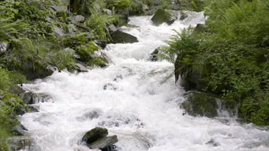 Fast flowing Swiss mountain river with green coasts