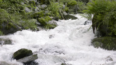 Fast flowing Swiss mountain river with green coasts