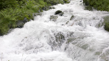 Fast flowing Swiss mountain river with green coasts