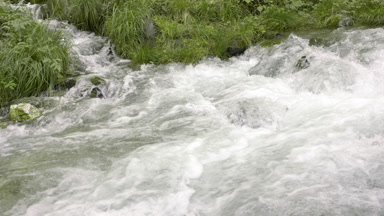 Mountain stream flows into a mountain river