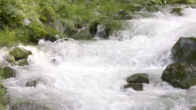 Fast flowing Swiss mountain river with green coasts