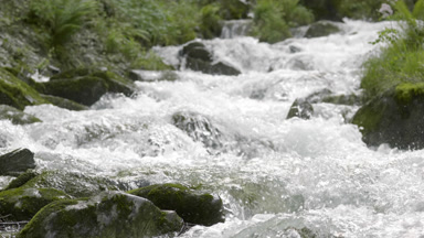 Fast flowing Swiss mountain river with green coasts