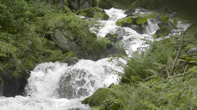 Fast flowing Swiss mountain river with green coasts