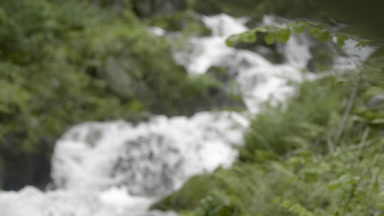 Fast flowing Swiss mountain river with green coasts