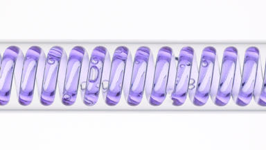 Blue mallow infusion in horizontal coil condenser, formulation