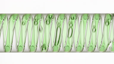 Yarrow hydrosol in coil condenser, cooling water process view
