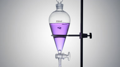 Purple basil hydrosol drips from separatory funnel, bubbles rise