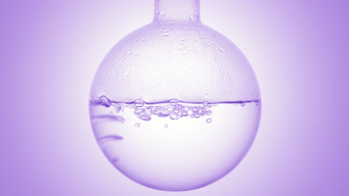 Clear liquid gently boils in round flask on purple background
