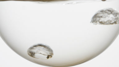 Lemongrass hydrosol boiling in flask, bubbles rising upward