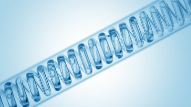 Borage hydrosol in inclined coil condenser, botanical skincare
