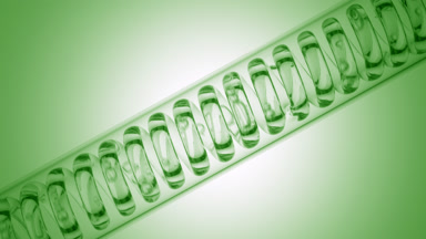 Clear liquid in inclined coil condenser on green ramp, filling