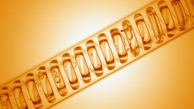 Clear liquid in inclined coil condenser on yellow ramp, fill