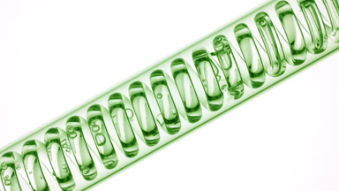Aloe vera facial mist in inclined coil condenser, filling up