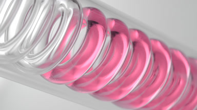 Strawberry distillate in spiral coil laboratory condenser tube