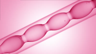 Pink transparent liquid in inclined bulb condenser, pink ramp