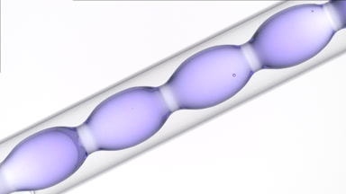 Fragrance draining in inclined bulb condenser, lab process