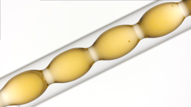 Barley water draining in inclined bulb condenser, lab setup