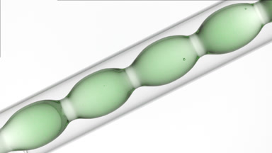 Apple mint infusion in inclined bulb condenser, lab visuals