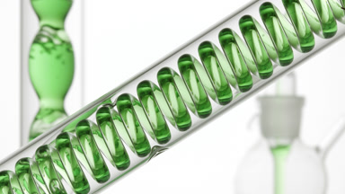 Chlorophyll solution bubbling in lab coil, bulb condenser