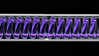 Lavender hydrosol in horizontal coil condenser for cosmetics