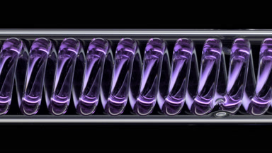 Purple sweet potato extract in horizontal coil condenser lab