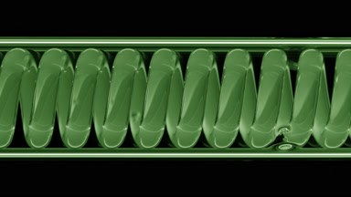 Green translucent liquid in horizontal coil condenser lab setup