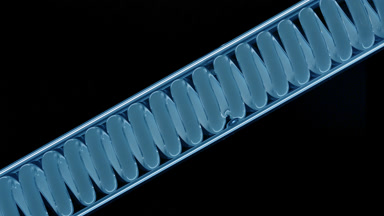 Blue liquid in inclined coil condenser on black background lab