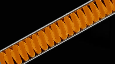 Sea buckthorn extract flowing in inclined coil lab condenser