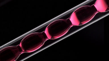 Pink transparent liquid filling bulb condenser, black background