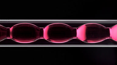 Pink liquid filling vertical bulb condenser, black background