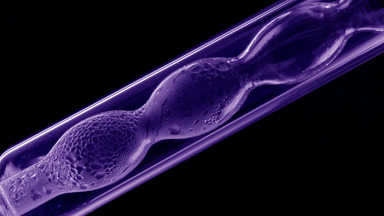Violet liquid condensing on bulb lab condenser, black background