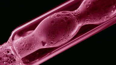 Pink liquid condensing on bulb lab condenser, black background