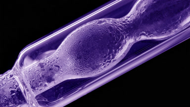 Violet liquid condensing on bulb lab condenser, black background