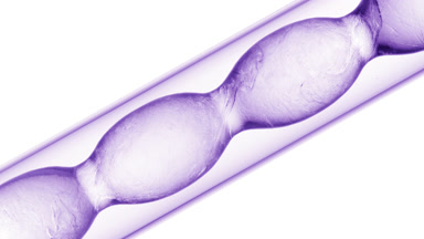 Clear liquids of varying density mixing in violet flask on white