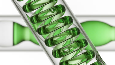 Spirulina solution bubbling in spiral coil, bulb condenser lab
