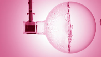 Cranberry extract boiling in flask, condensation on glass