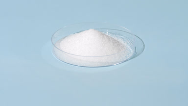Wide Shot of White Powder in Petri Dish on Light Blue