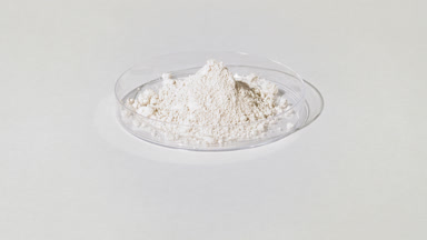 White Powder in Petri Dish on Light Gray Background with Light